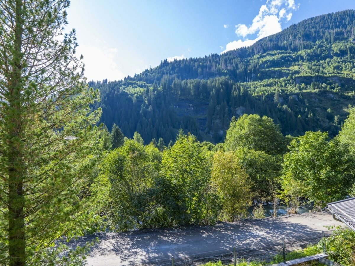 Das Haus Nani im Sommer, umgeben von Wald und Bergen